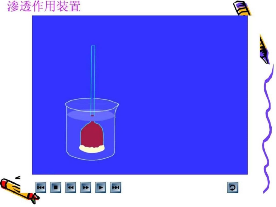 物质跨膜运输实例图文._第3页