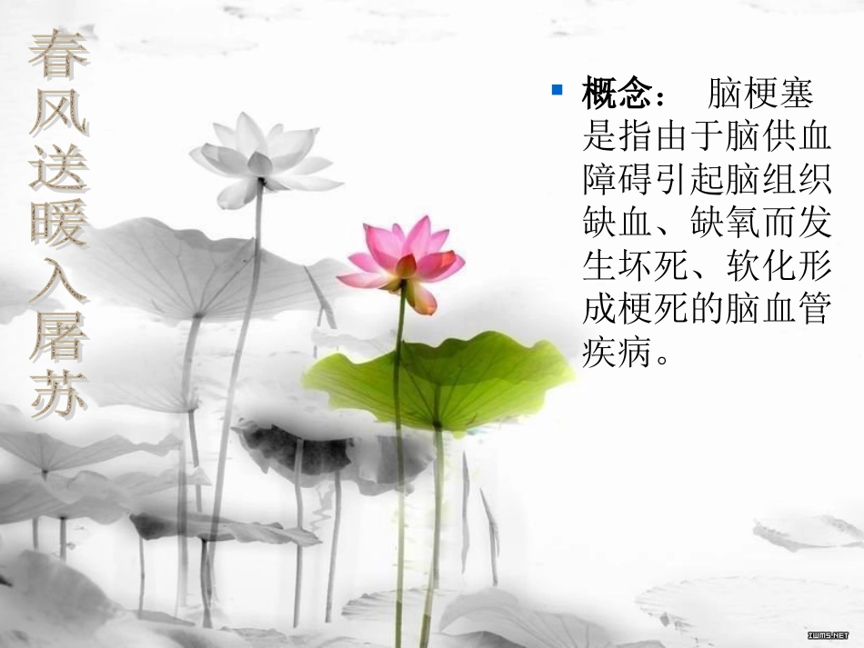 脑梗塞的健康教育_第3页