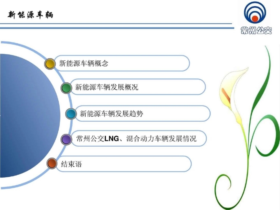 新能源车辆简介及运营_第2页