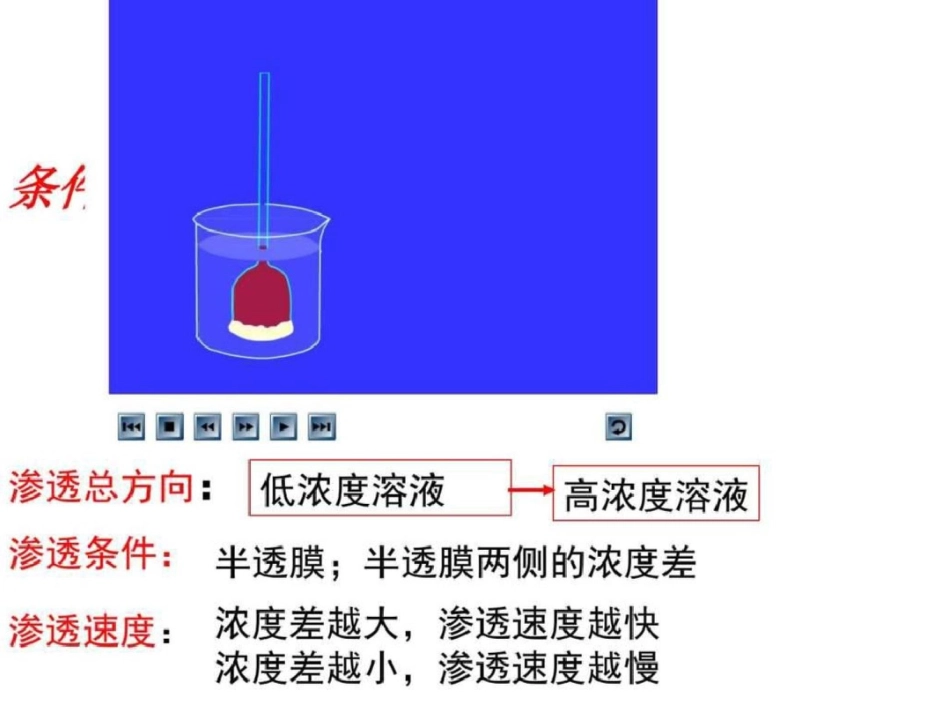 物质跨膜运输的实例._第2页