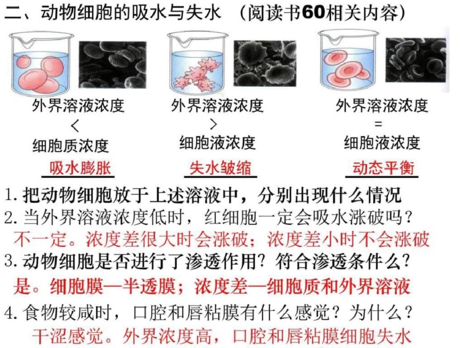 物质跨膜运输的实例._第3页