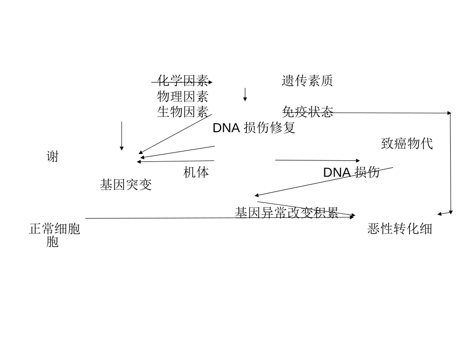 恶性肿瘤的发病机制[共75页]_第2页