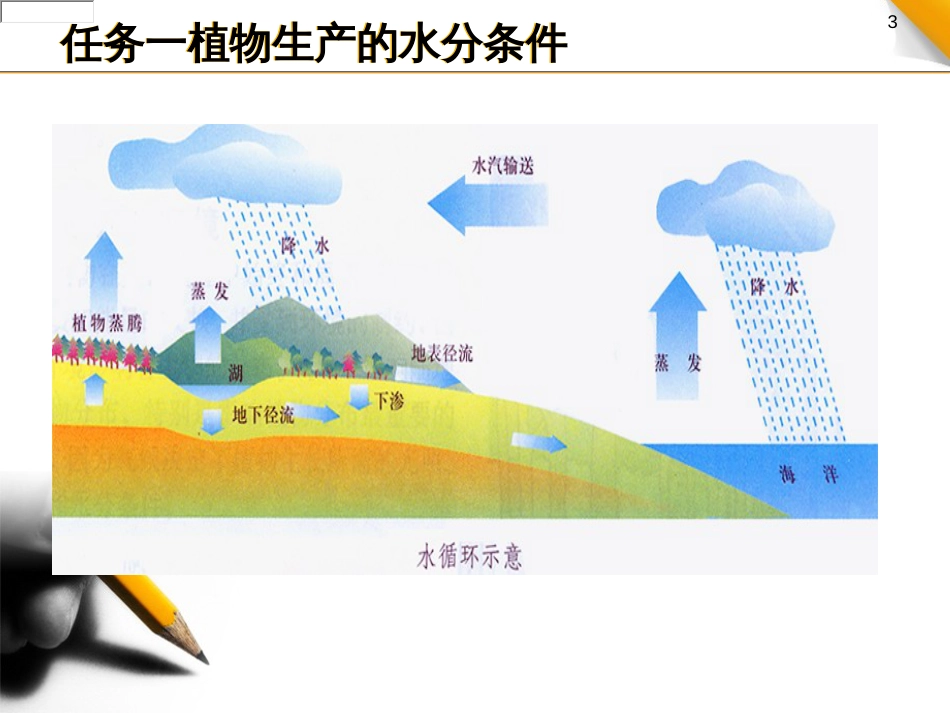 植物生产的水分条件_第3页