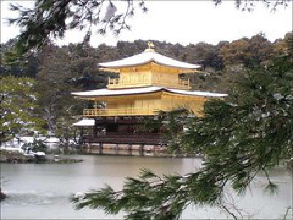 古诗遗爱寺[共11页]_第1页