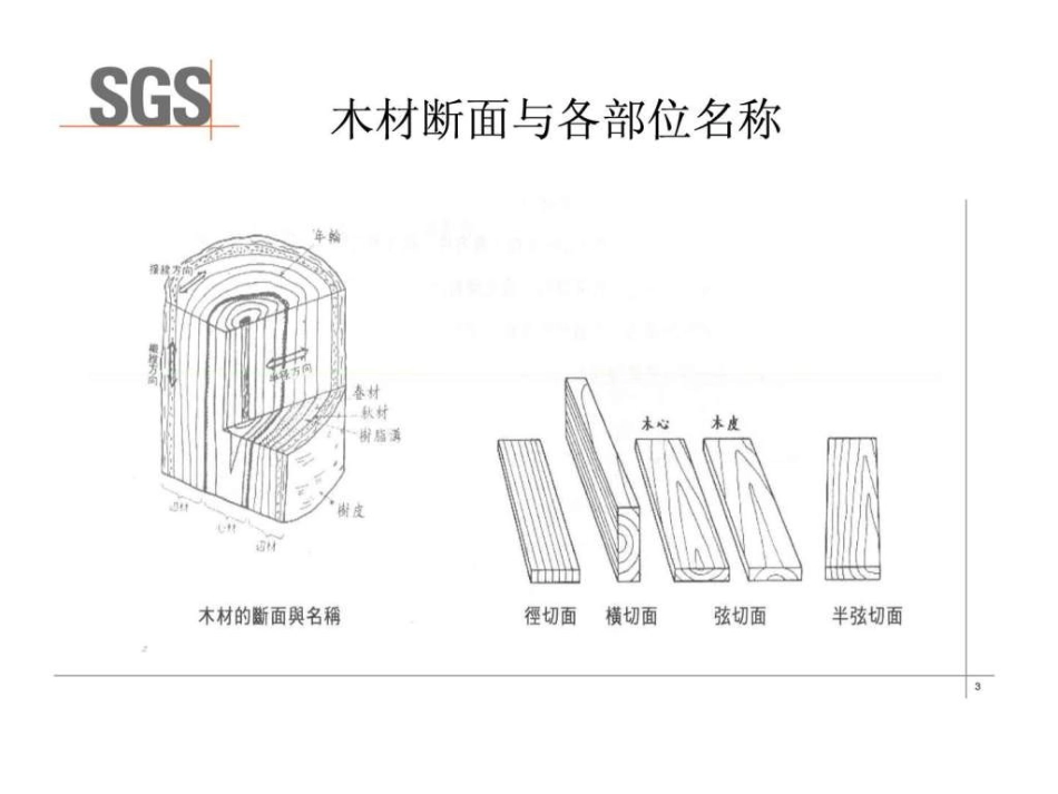 木材知识培训教材.[共74页]_第3页