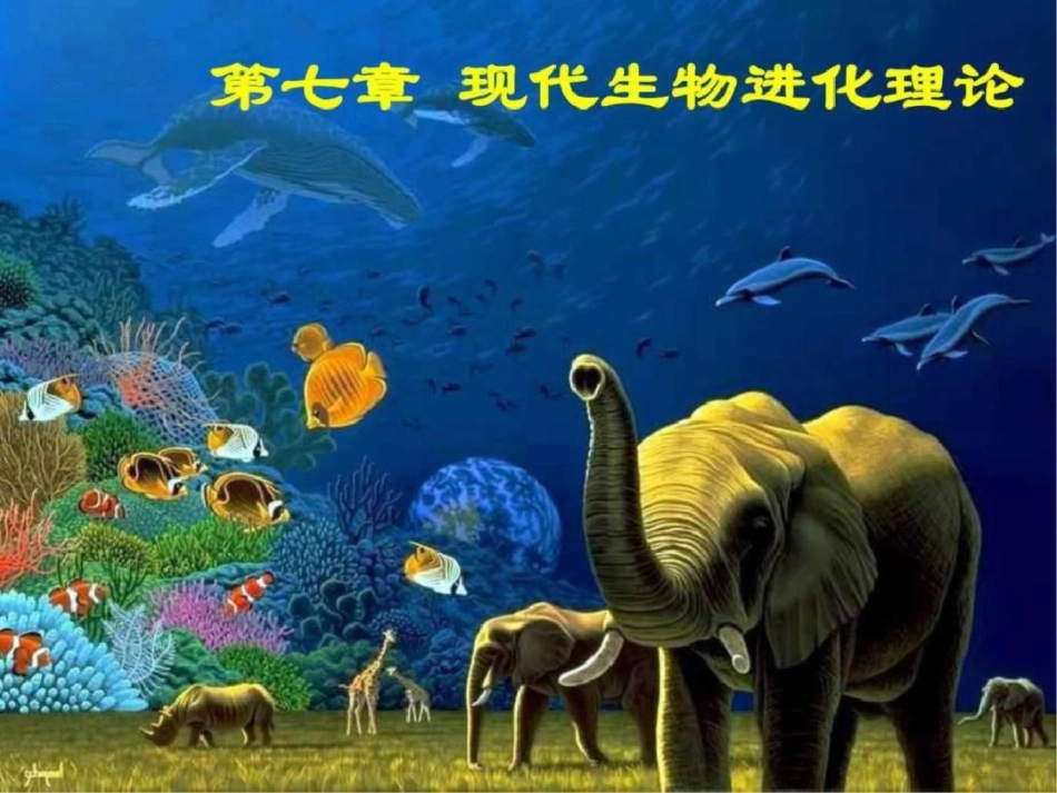 现代生物进化理论一轮复习公开课图文._第1页