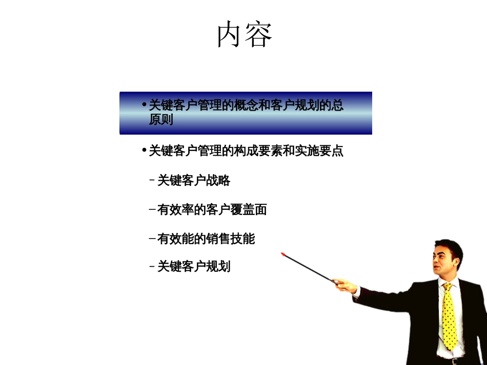 通过卓越的关键客户管理提高销售业绩和客户忠诚度[54页]_第2页