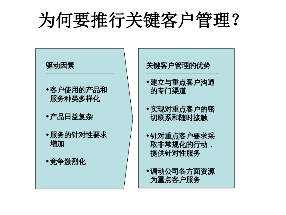 通过卓越的关键客户管理提高销售业绩和客户忠诚度[54页]_第3页