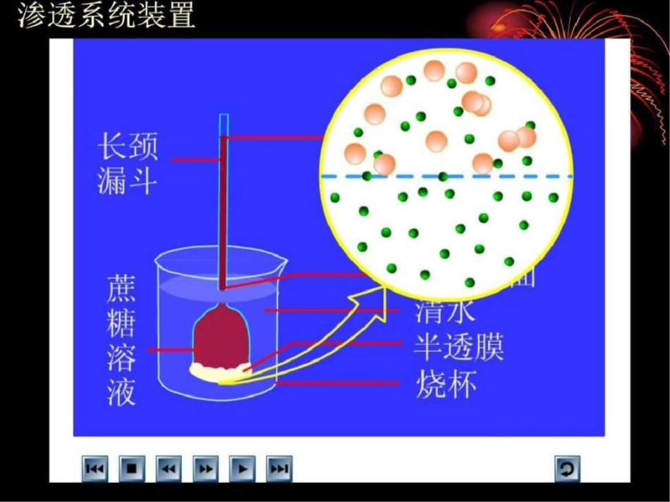 物质跨膜运输的实例图文._第2页