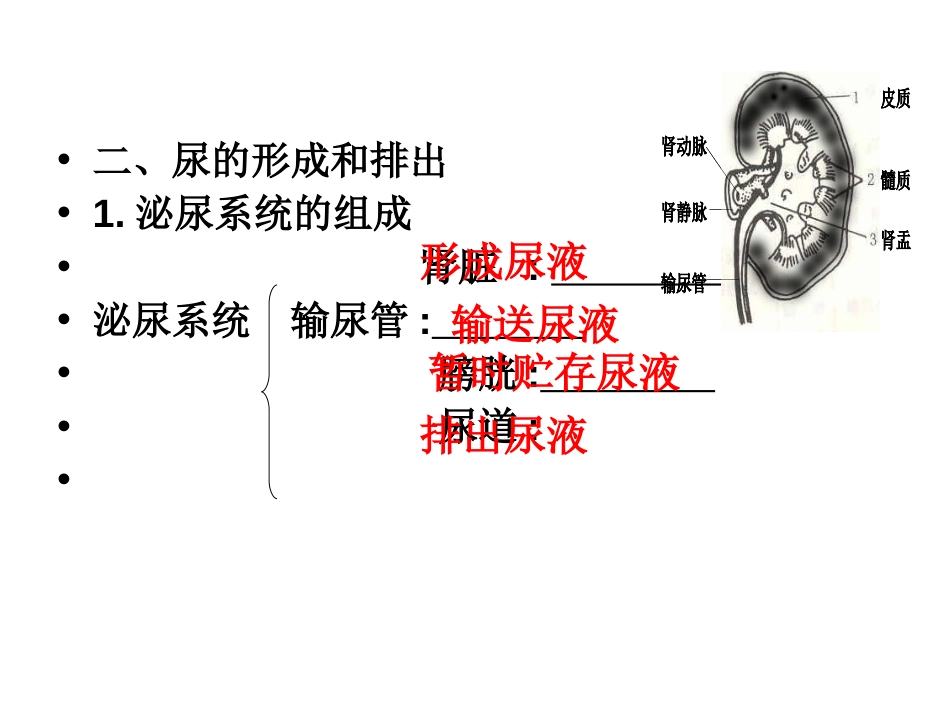 人体内废物的排出[共8页]_第3页