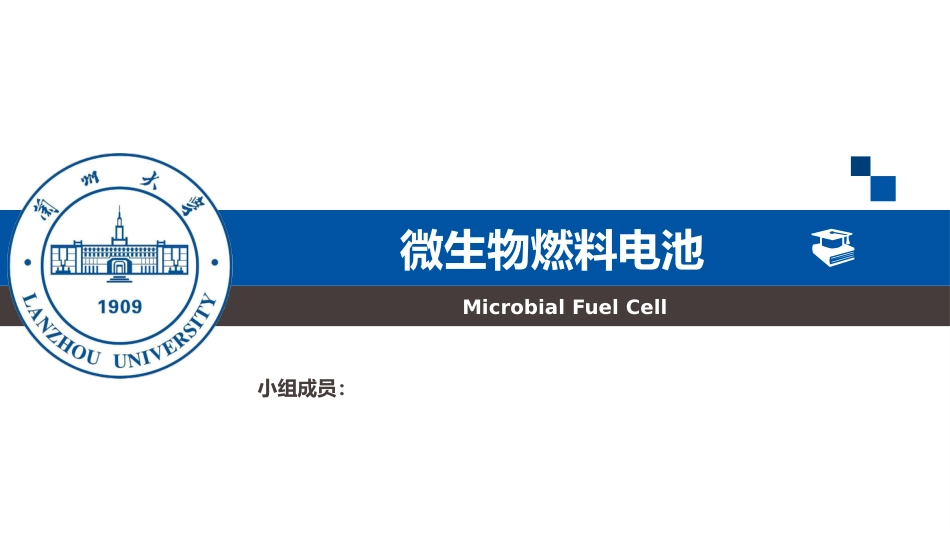 微生物燃料电池[共26页]_第1页