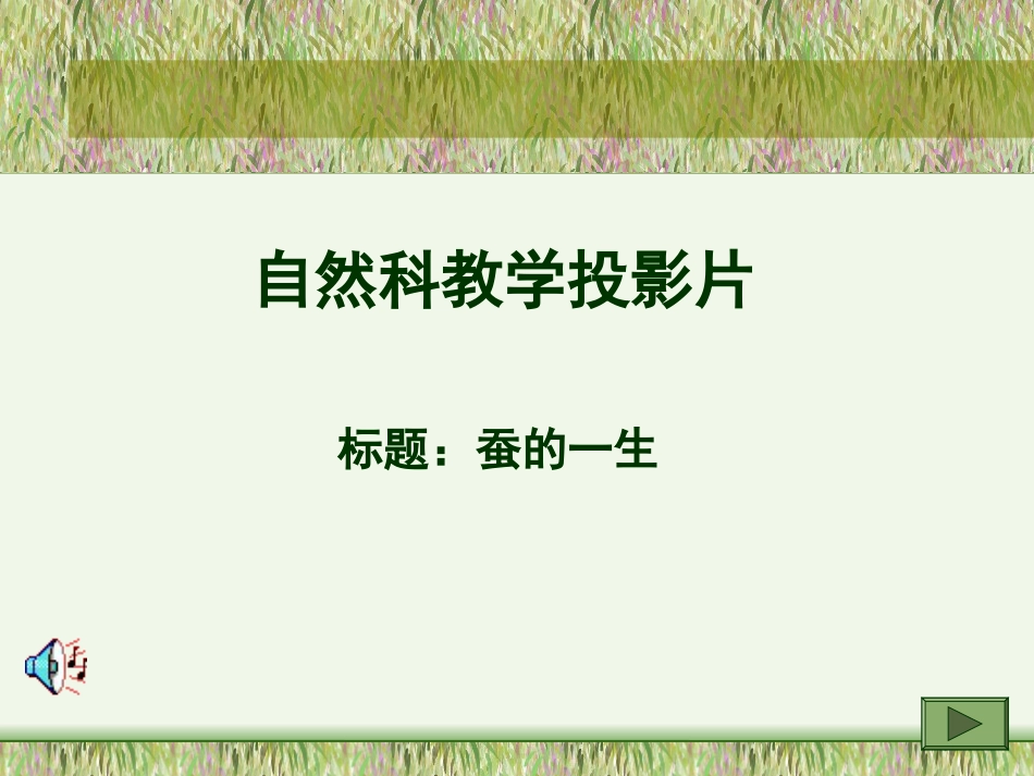 蚕的一生[16页]_第1页