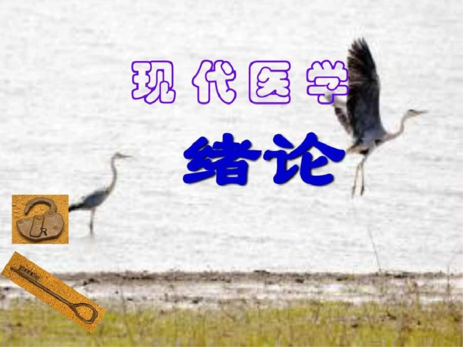 现代医学课程讲义_第1页