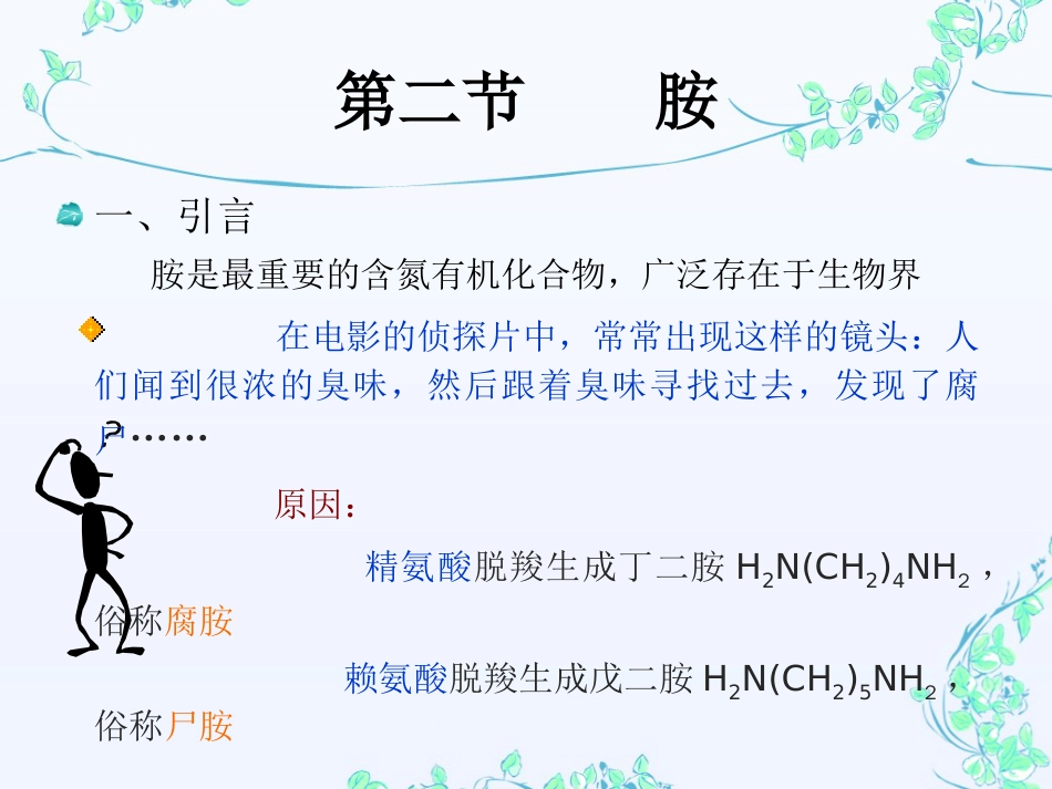胺的分类及命名[25页]_第2页