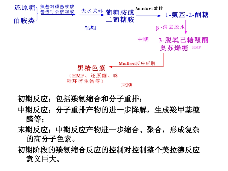 美拉德反应和焦糖化反应_第2页