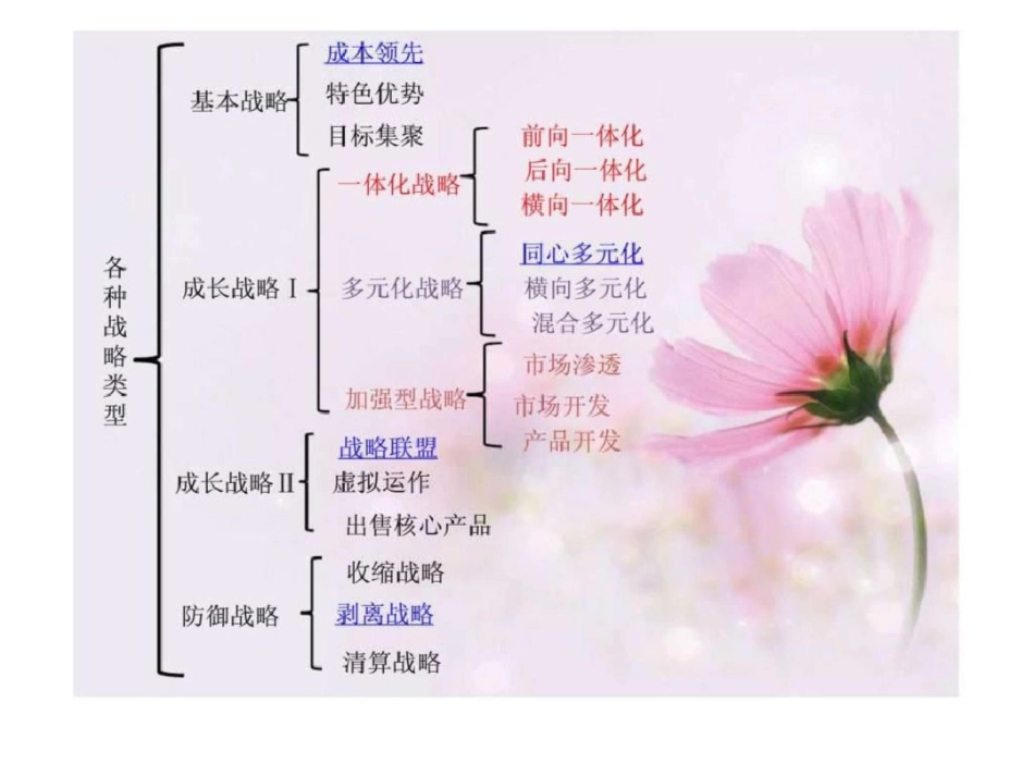 战略性计划选择_第3页