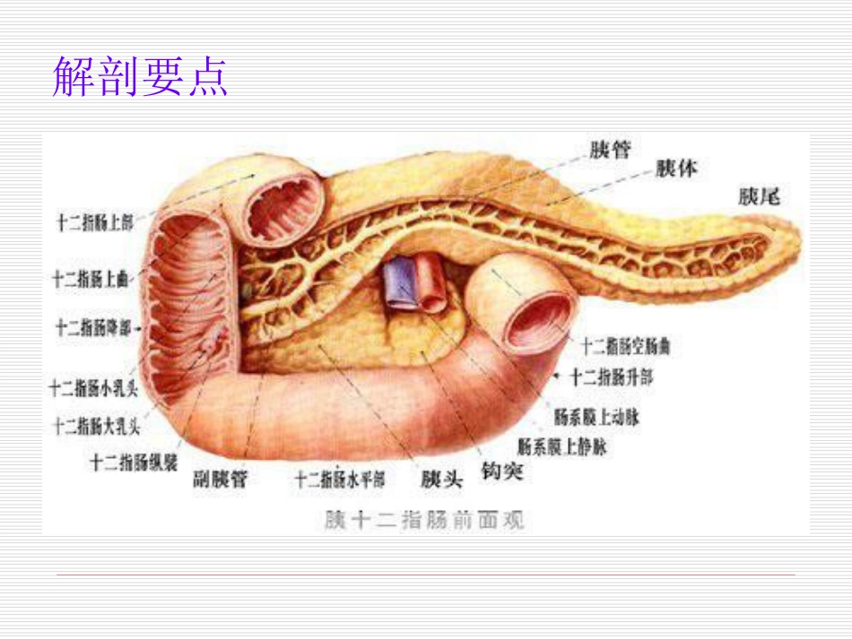 急性胰腺炎护理[共31页]_第2页