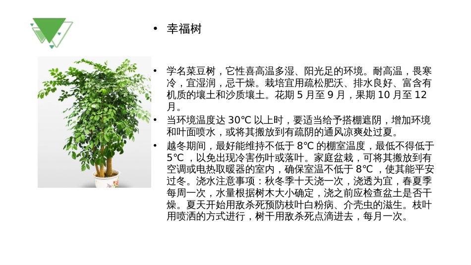 常见植物习性[16页]_第3页