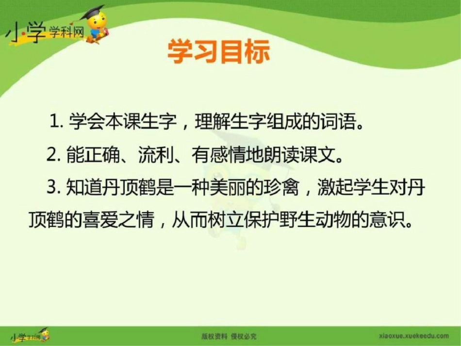 新苏教版二年级上语文20美丽的丹顶鹤含课._第2页