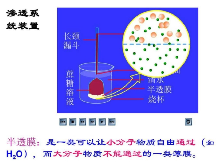 物质跨膜运输的实例图文1654748630._第1页