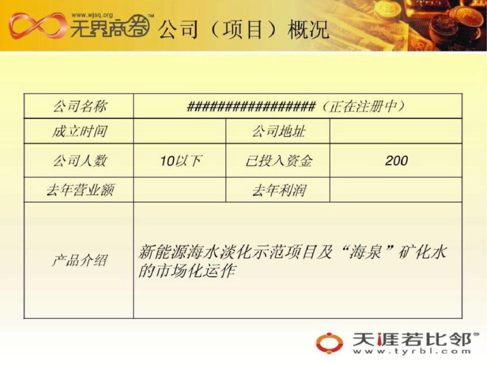 无界投融强化新能源海水淡化示范项目的市场化运作及._第2页