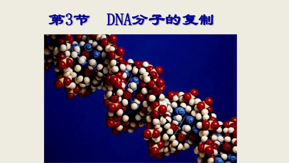 第三节DNA的复制_第1页