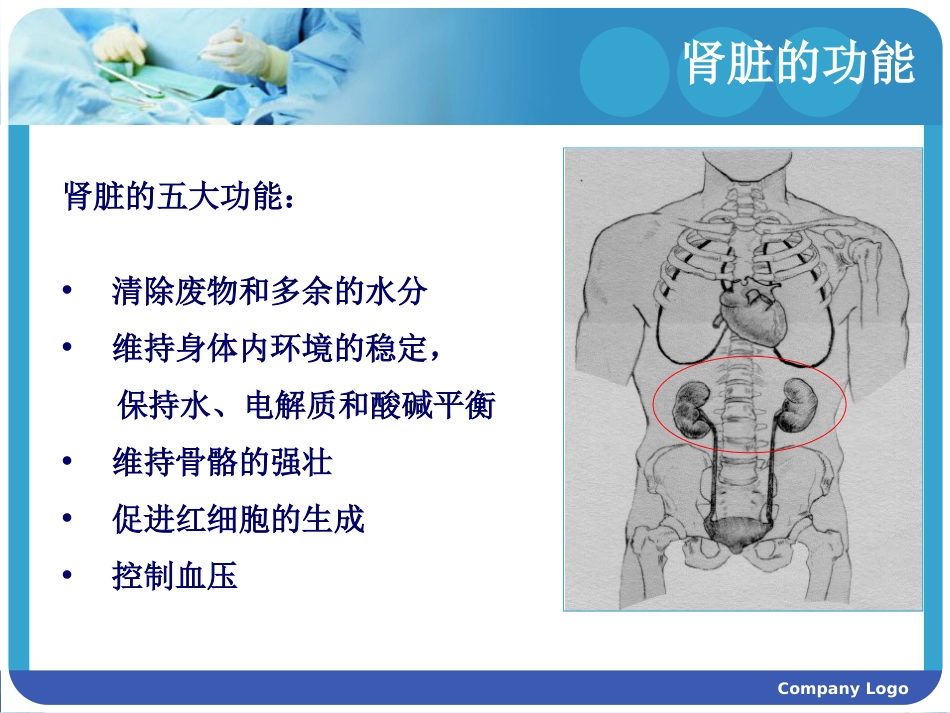 泌尿系统常见症状及体征[共35页]_第3页