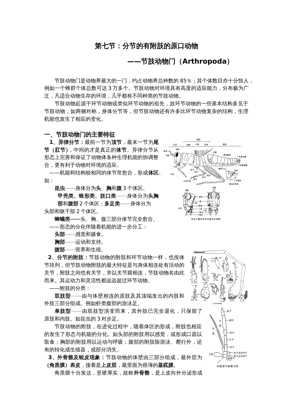 节肢动物门[9页]_第1页