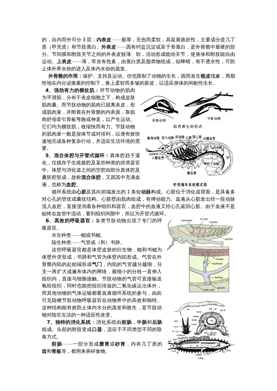 节肢动物门[9页]_第2页