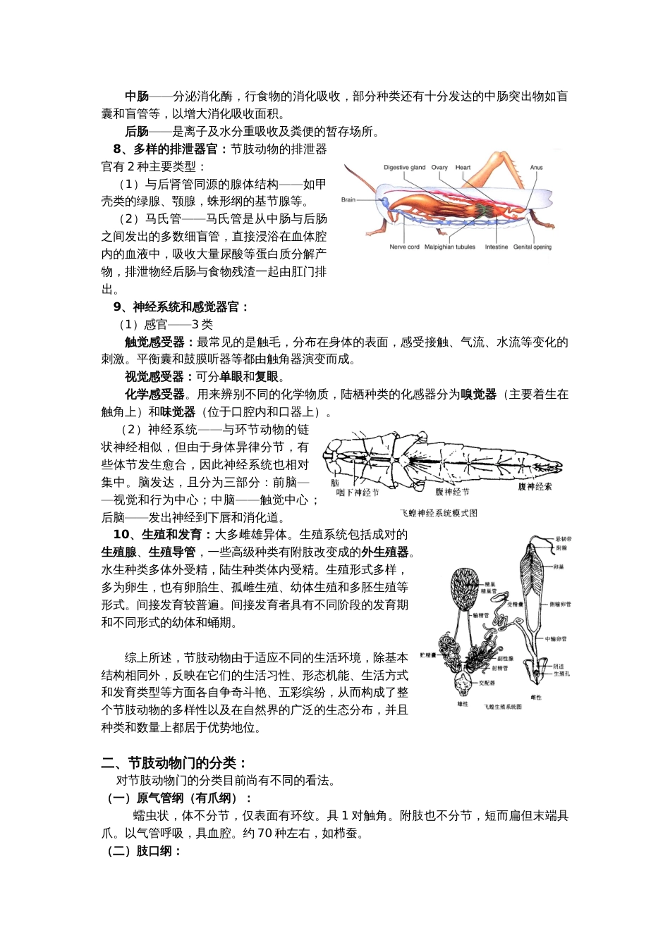 节肢动物门[9页]_第3页