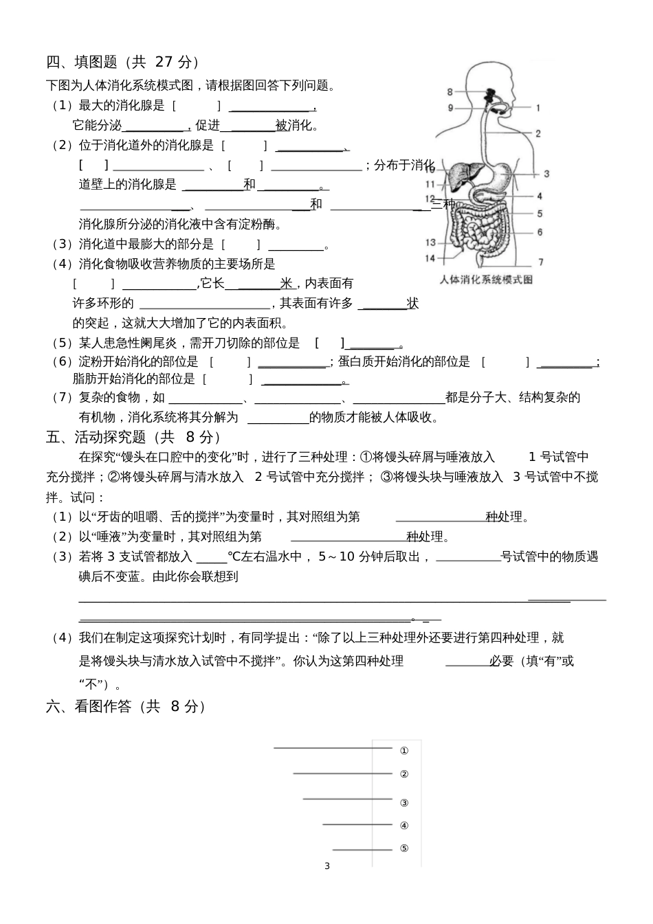 七年级生物下册第二章测试题_第3页