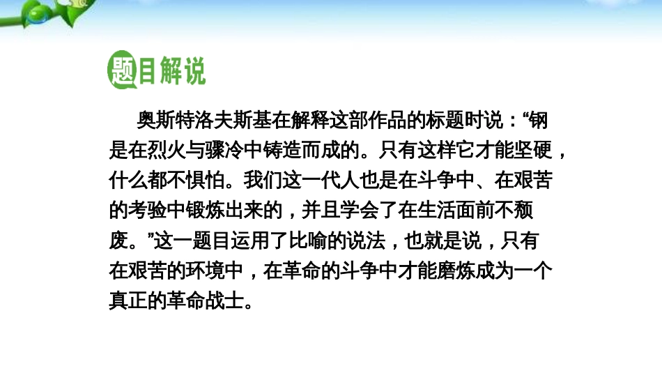 名著导读《钢铁是怎样炼成的》摘抄和做笔记_第2页