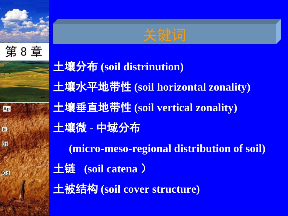 土壤地理学第8章土壤分布与土壤分区_第3页