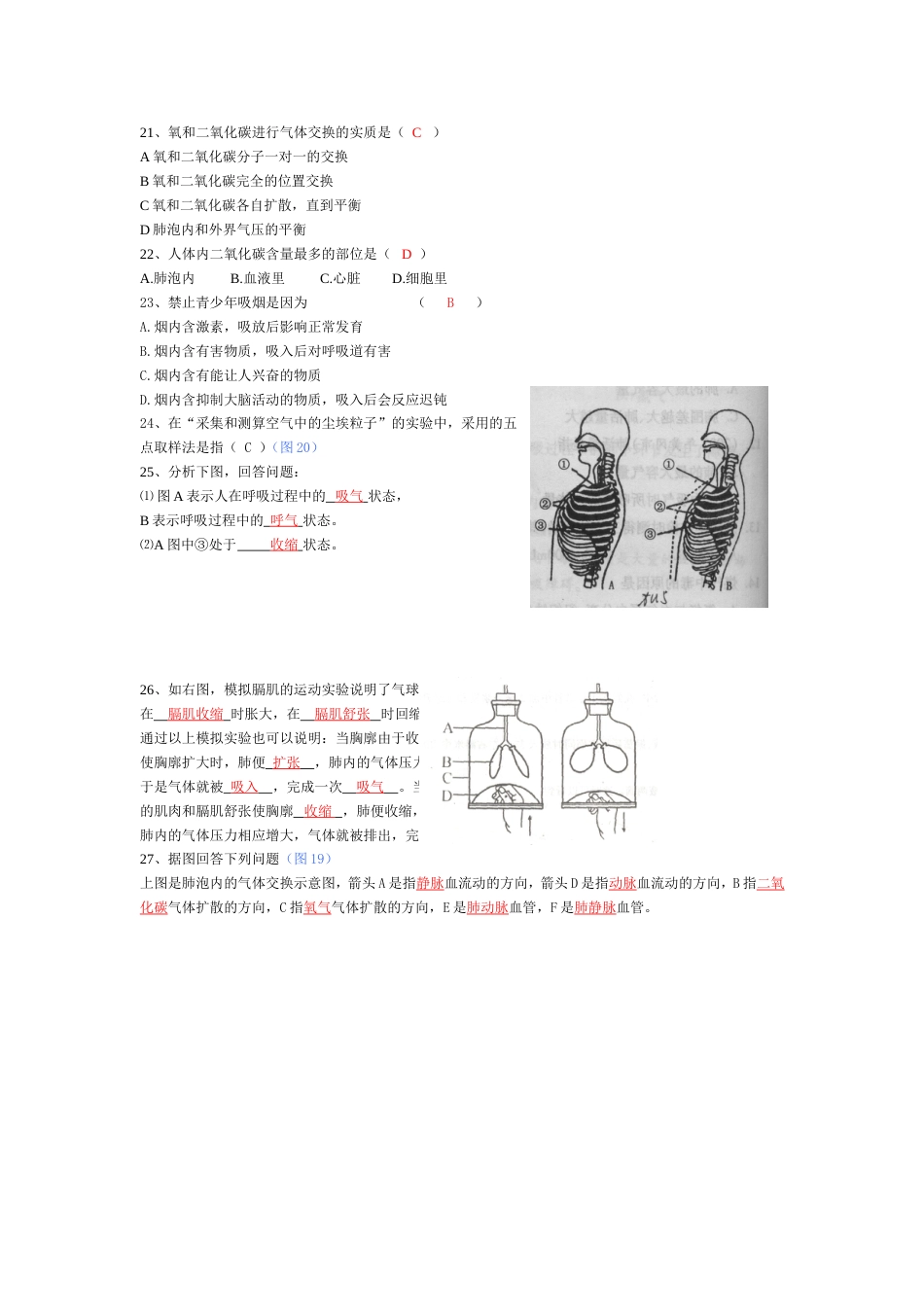 七年级生物人体的呼吸复习指导及训练题_第3页