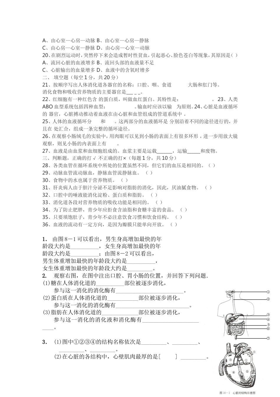 人教版七年级下册生物期中试卷及答案[共8页]_第2页