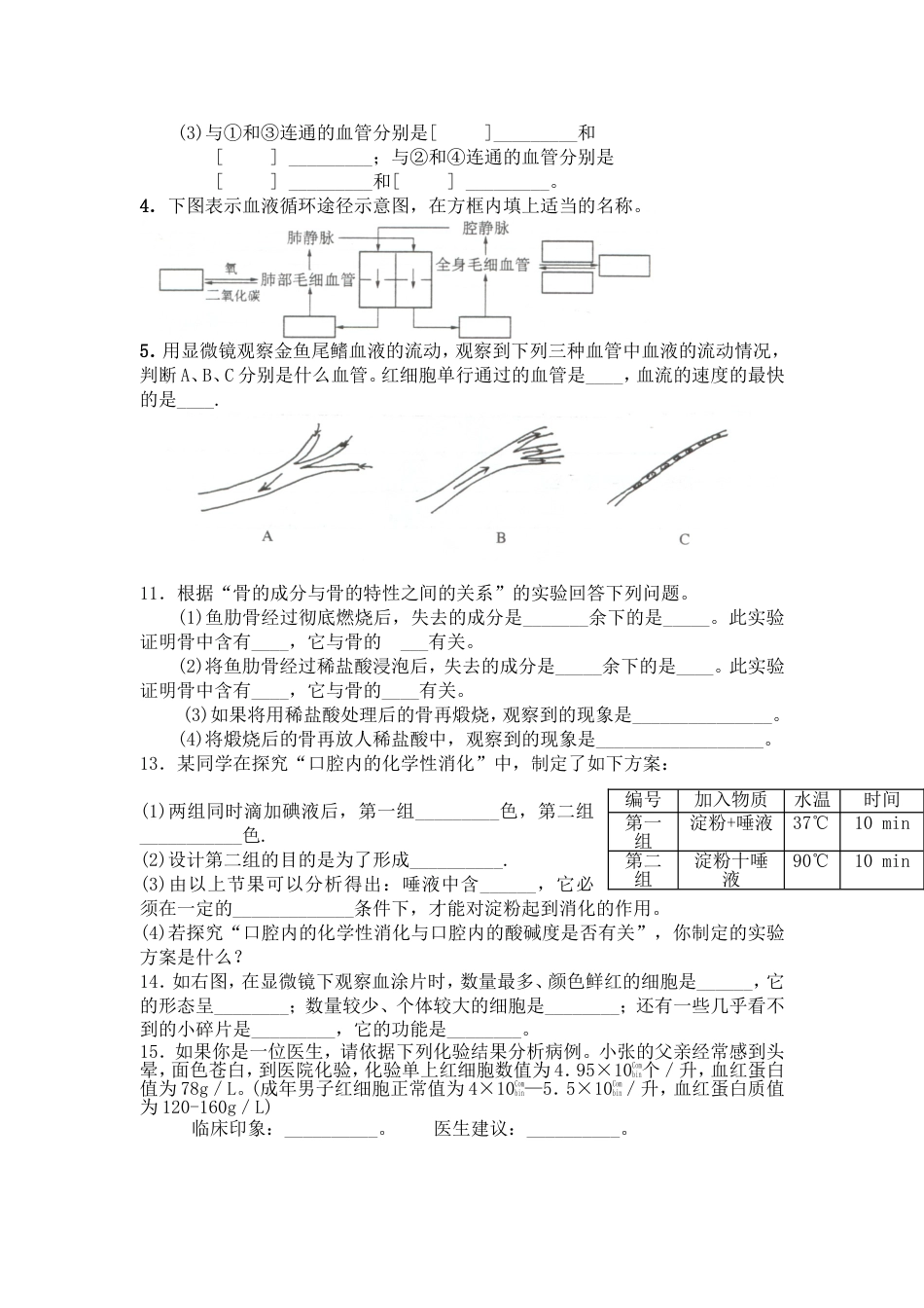 人教版七年级下册生物期中试卷及答案[共8页]_第3页