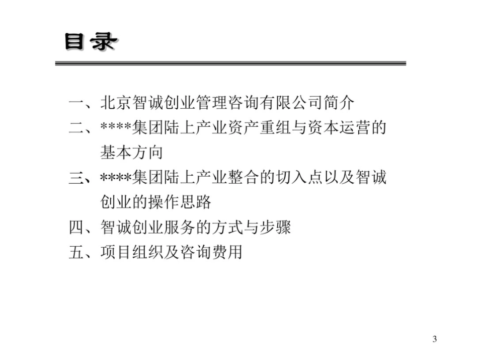 关于xx集团产业整合咨询建议书_第3页