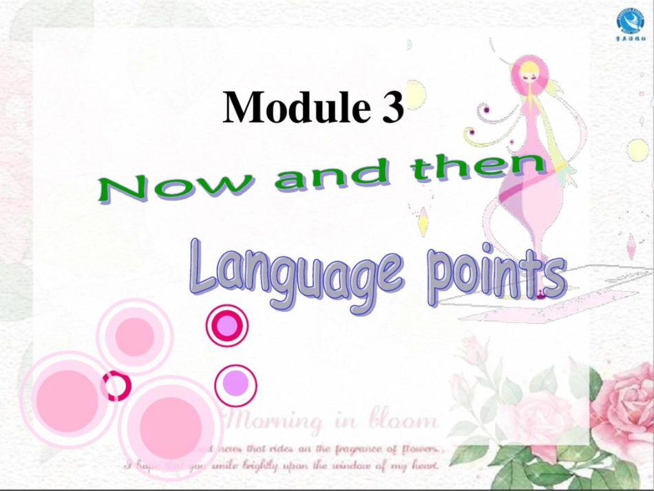 外研版初中英语九年级下册Module3Languagepoints课件_第2页