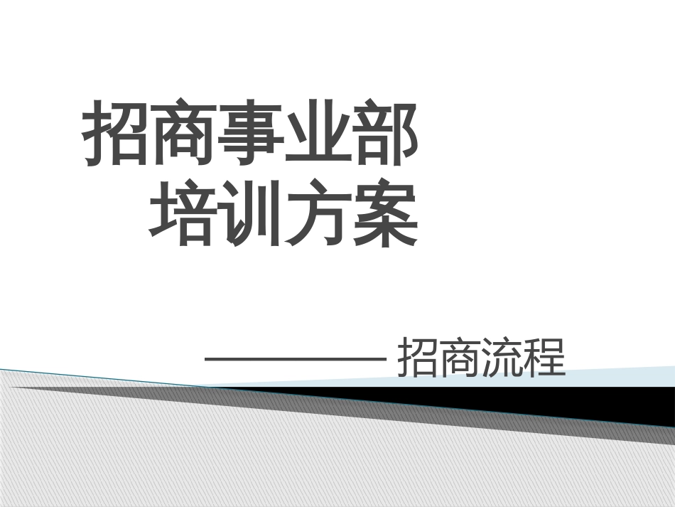 临床药品产品招商流程[共95页]_第1页