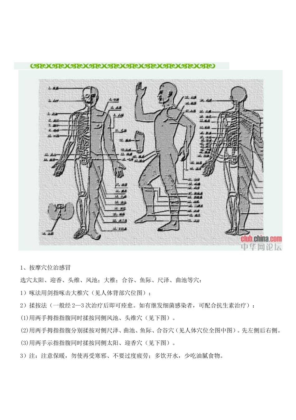 人体穴位图及保健按摩方法[共24页]_第2页