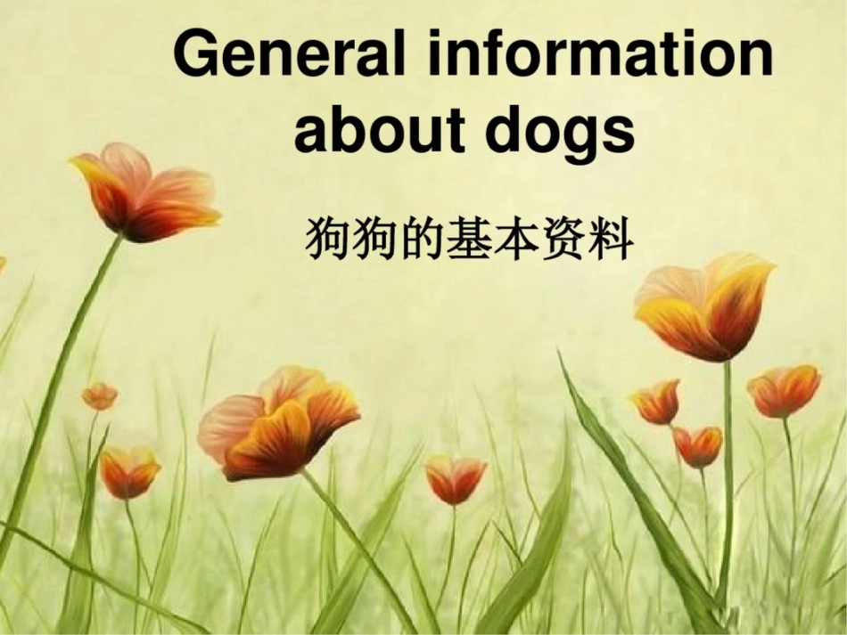 关于狗狗的英文_第2页