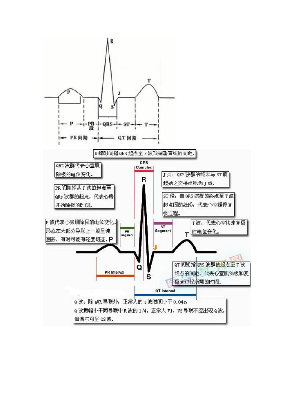 心电图基础知识[共6页]_第1页