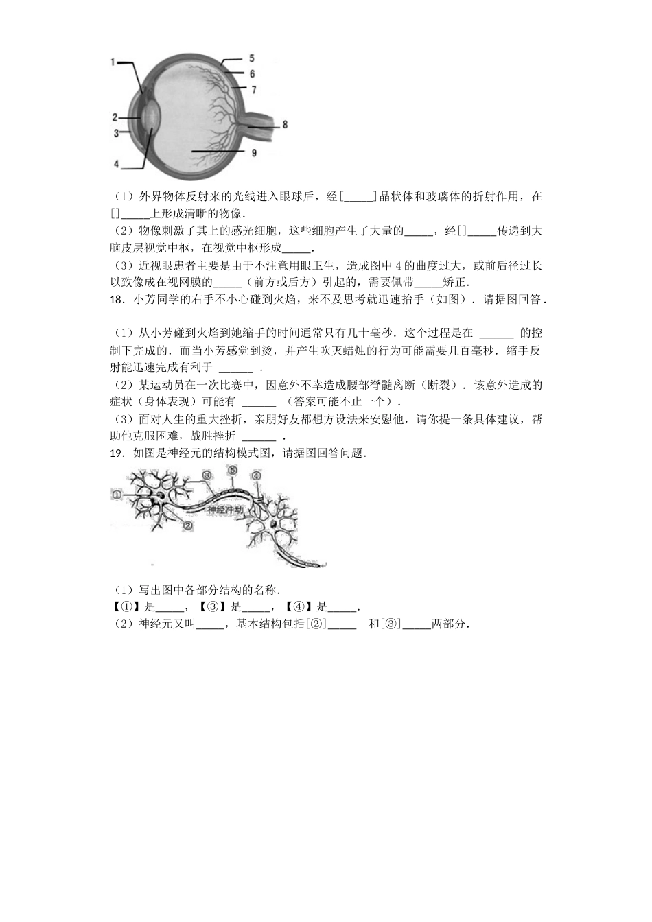 人教版初中生物七年级下册第四单元第六章《人体生命活动的调节》单元检测题含答案_第3页