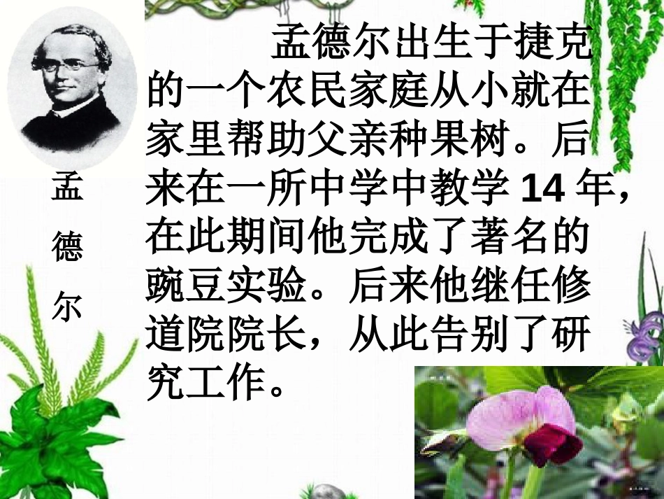 六年级科学下册寻找遗传与变异的秘密课件[共26页]_第3页