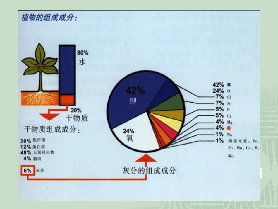 08第八章土壤养分与施肥_第2页