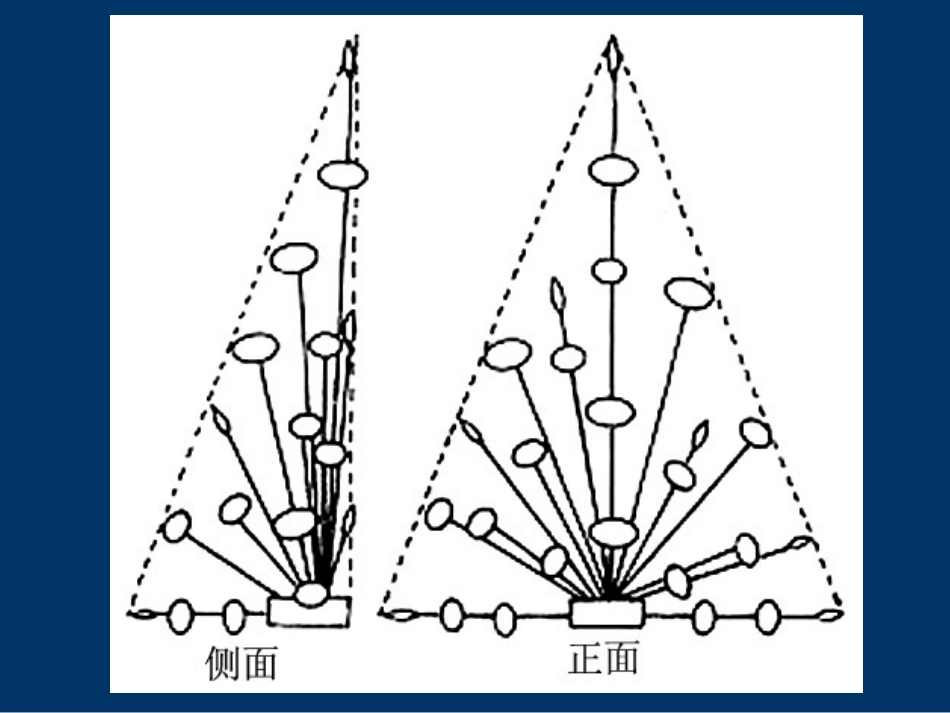 三角形插花作品制作步骤[共15页]_第3页