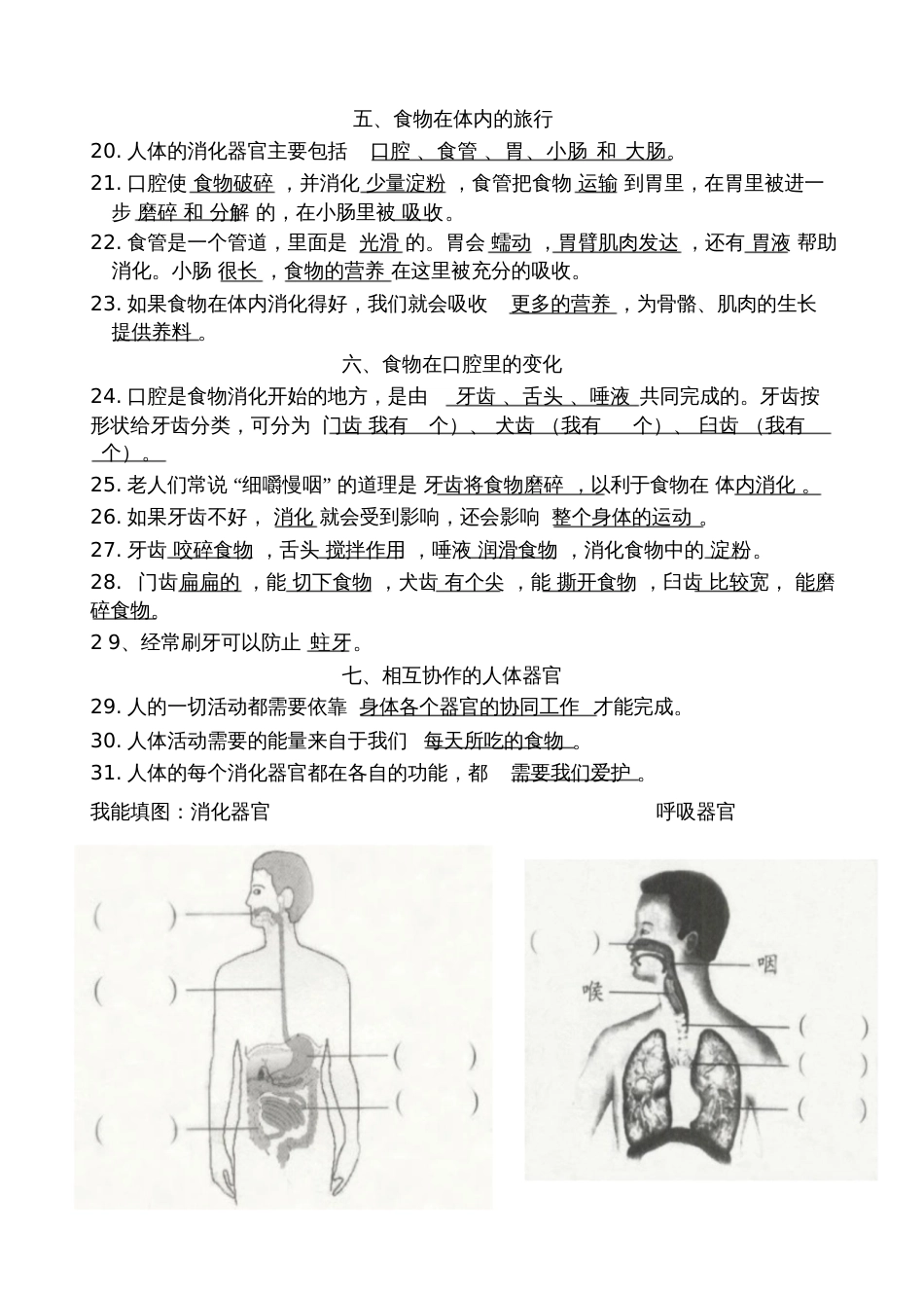 四上科学第四单元知识点_第2页