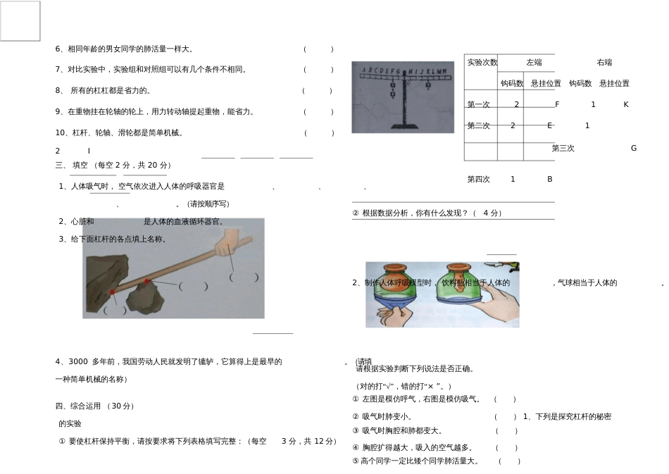 五年级上册科学期中试卷[共3页]_第3页