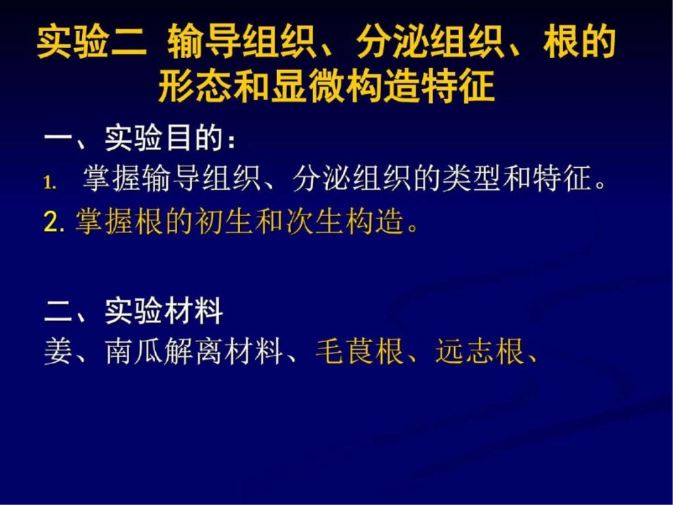 分泌组织、根的形态和显微构造特征精图文._第1页