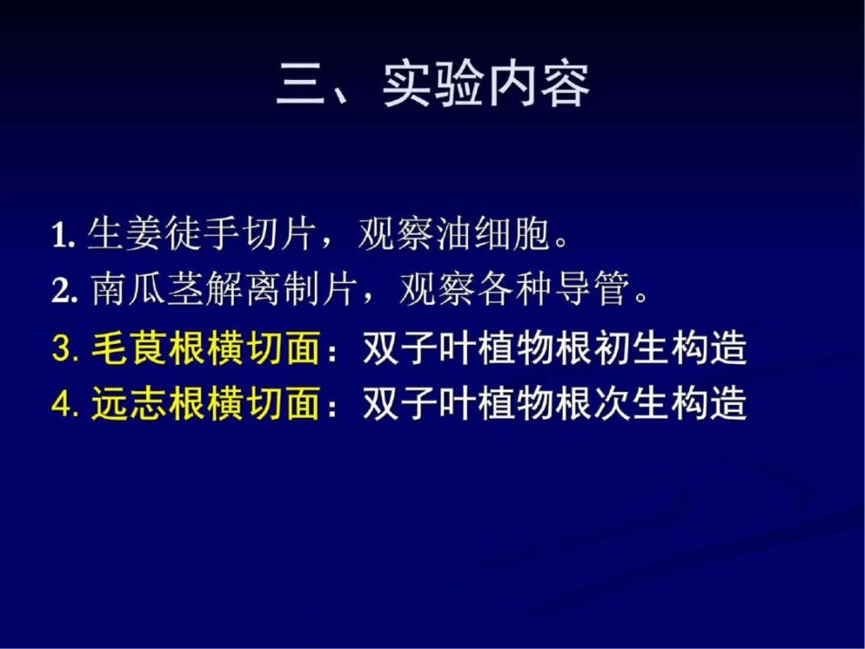 分泌组织、根的形态和显微构造特征精图文._第2页